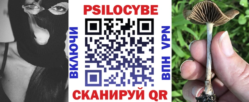 Псилоцибиновые грибы GOLDEN TEACHER  площадка клад  Новокузнецк 