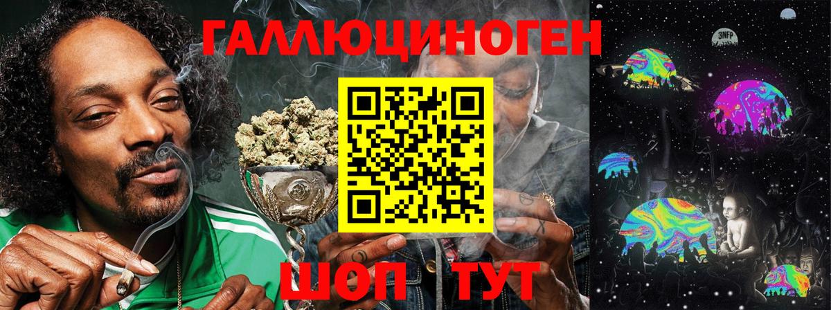 Галлюциногенные грибы Cubensis Новокузнецк