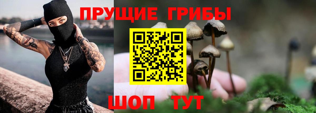 цена наркотик  Галлюциногенные грибы Psilocybine cubensis  Вход с VPN  Новокузнецк 